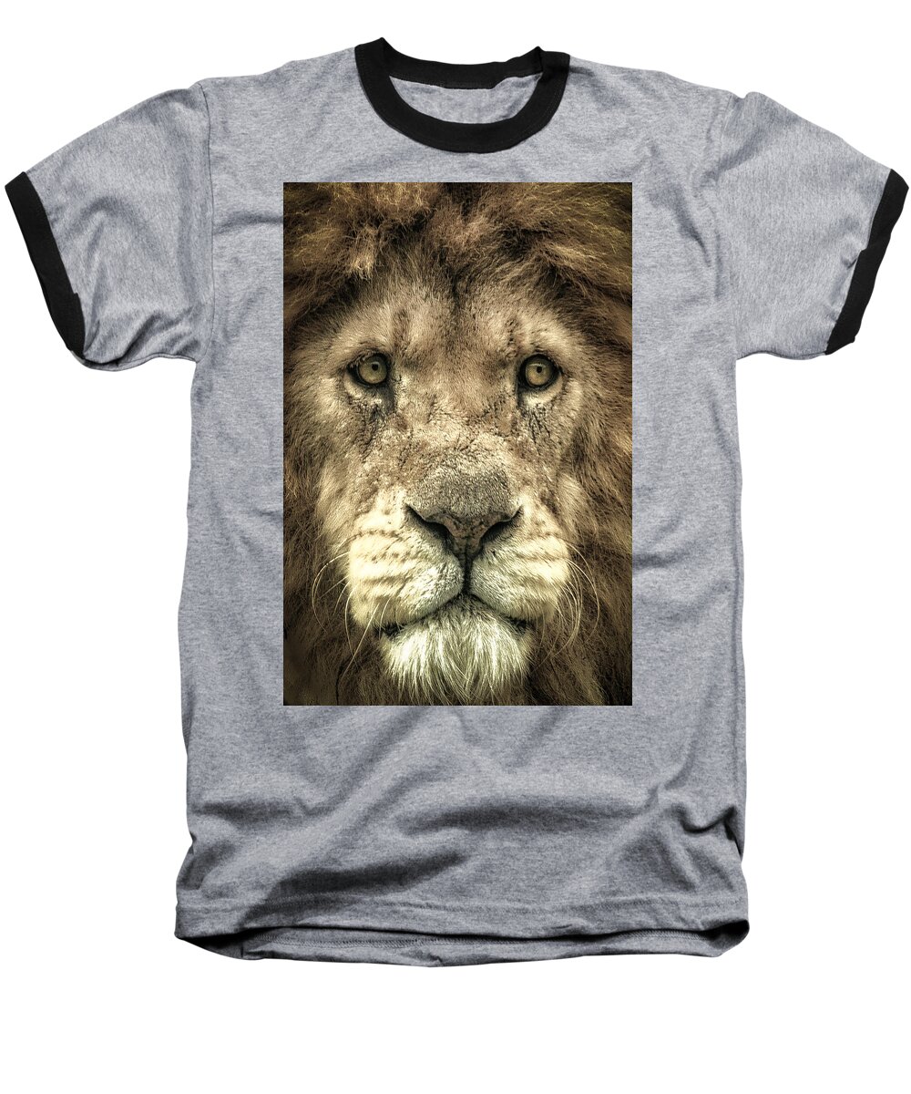 Lion Baseball T-Shirt featuring the photograph Lion Portrait by Chris Boulton