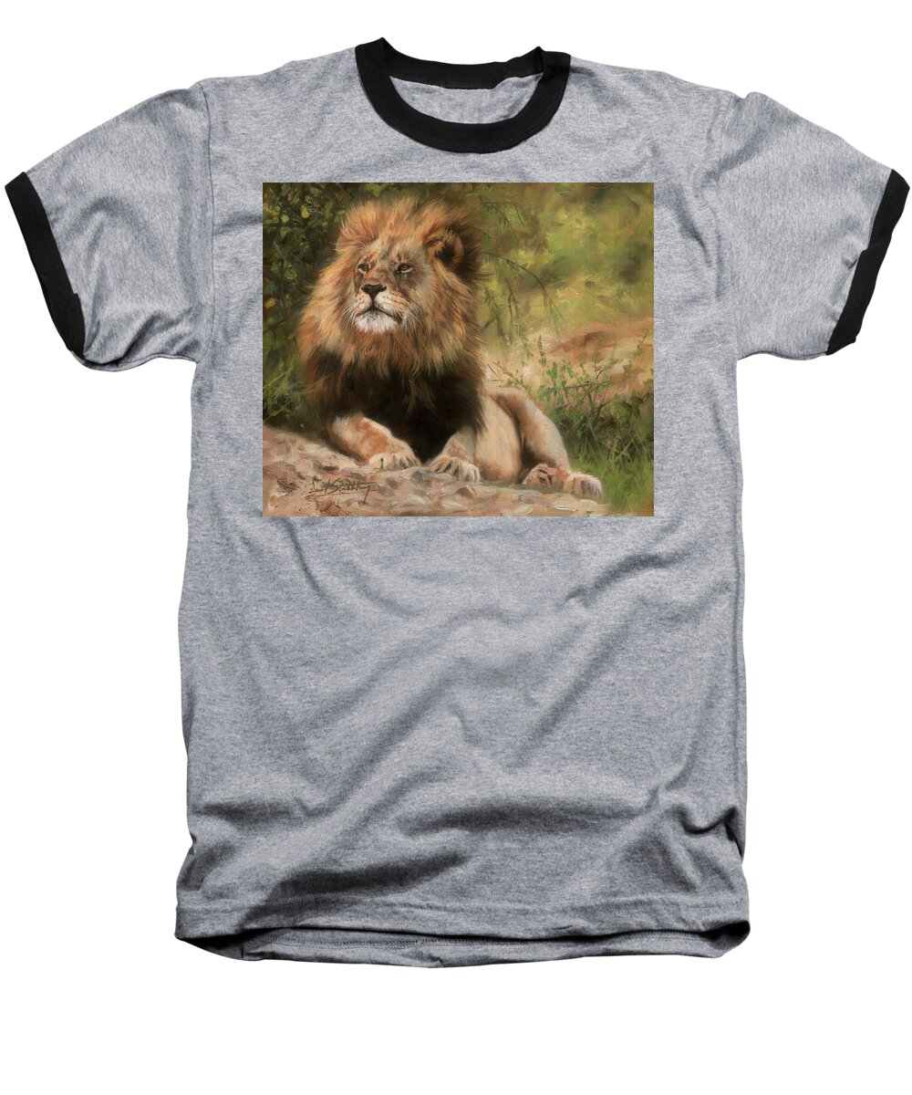 Lion Baseball T-Shirt featuring the painting Lion resting by David Stribbling