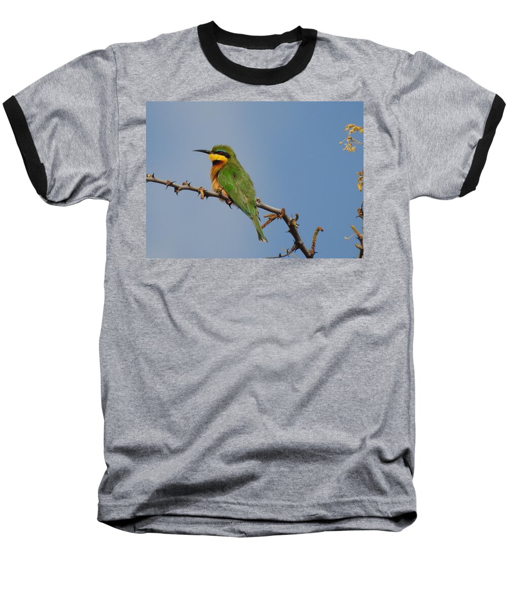 Bird Baseball T-Shirt featuring the photograph Little Bee-Eater by Betty-Anne McDonald