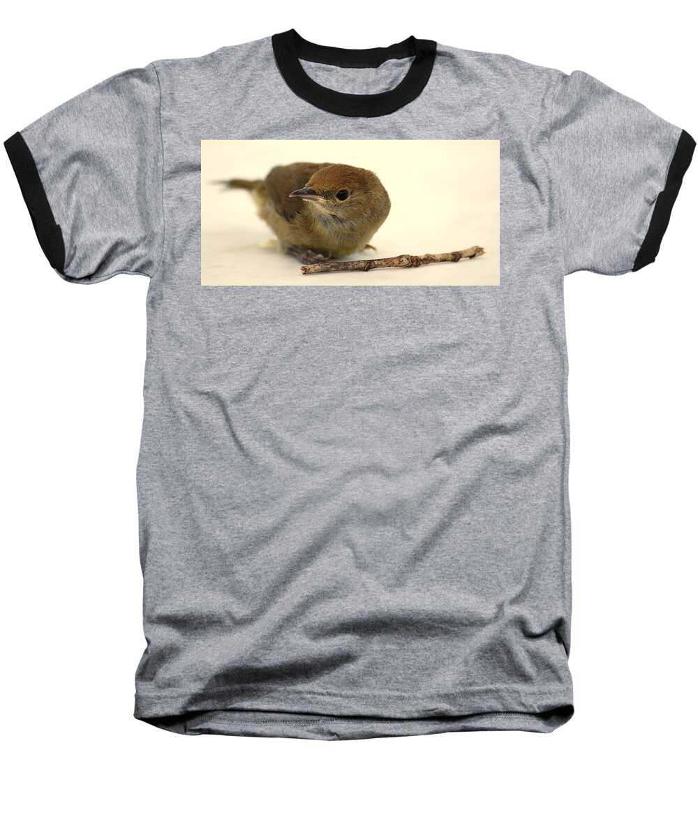 Little Baseball T-Shirt featuring the photograph Little Bird 2 by Pierre Dijk