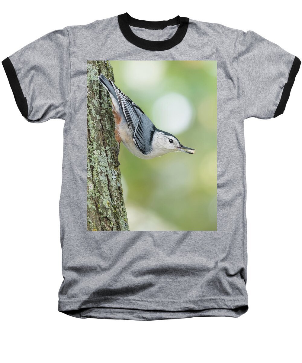 Nuthatch Baseball T-Shirt featuring the photograph Little nutty bokeh by Ian Sempowski