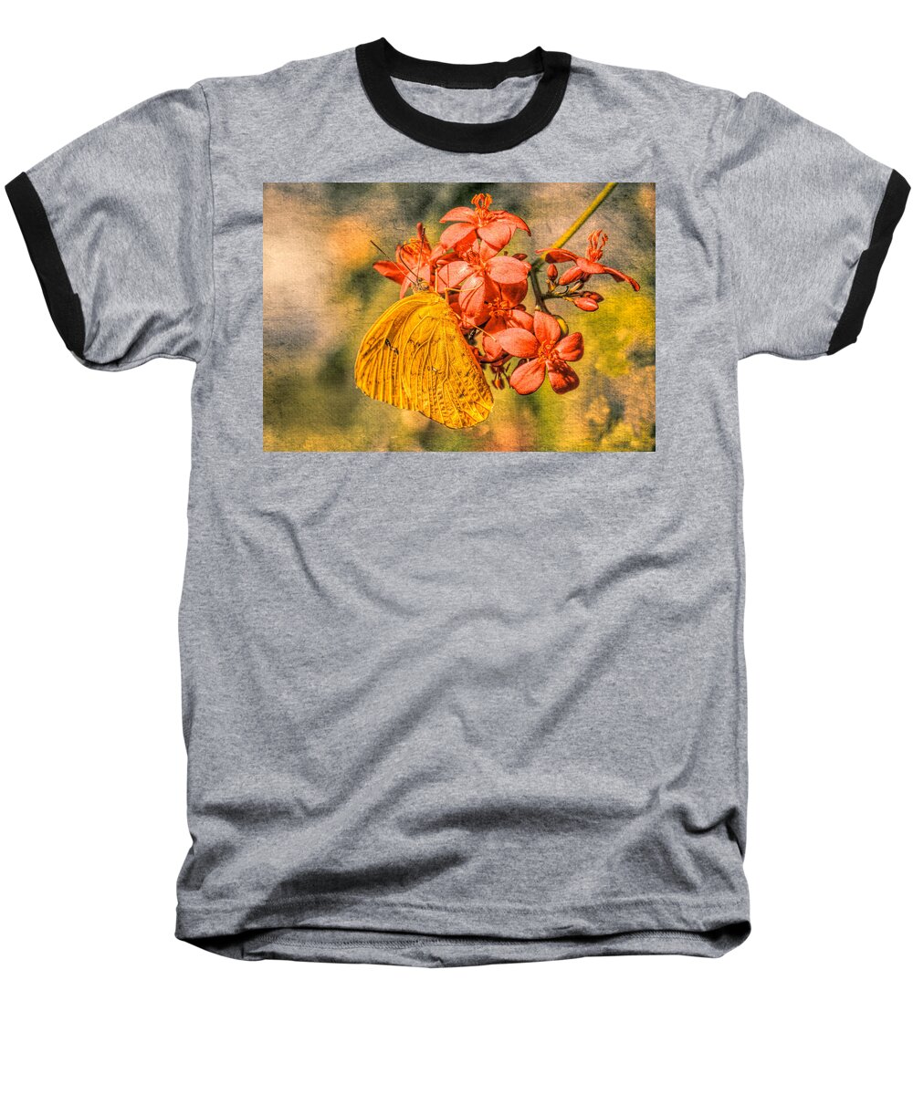 Butterfly Baseball T-Shirt featuring the photograph Little Golden Butterfly in Grunge by Rosalie Scanlon