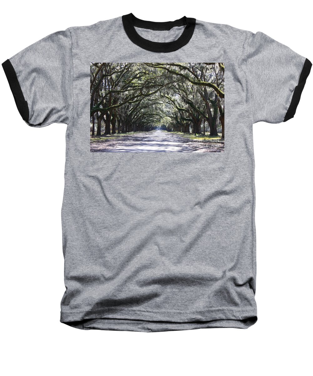Landscape Baseball T-Shirt featuring the photograph Live Oak Lane in Savannah by Carol Groenen