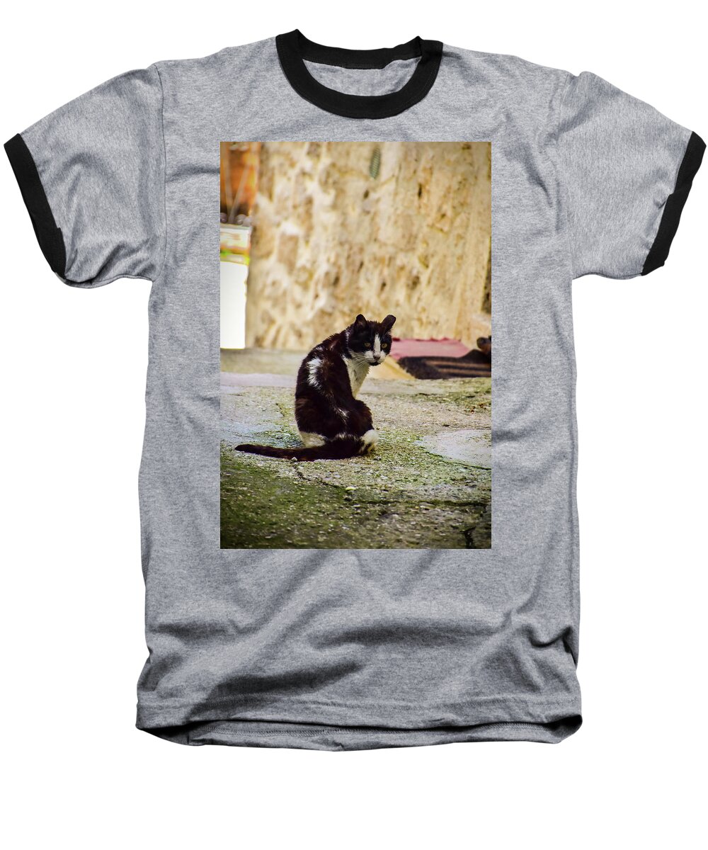 Cat Baseball T-Shirt featuring the photograph Lone Cat by Alessandro Della Pietra