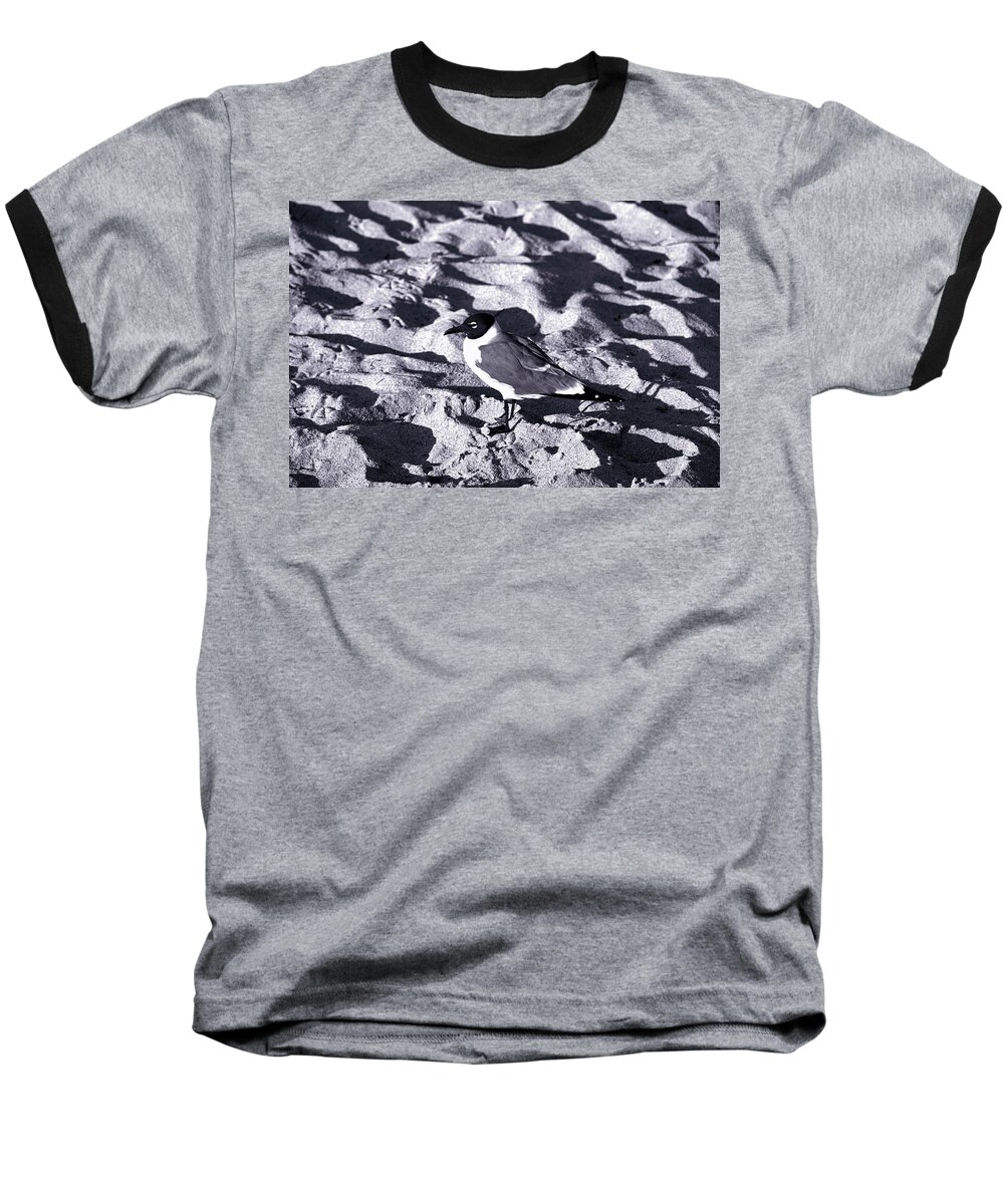 Beach Baseball T-Shirt featuring the photograph Lone Seagull by Gary Dean Mercer Clark