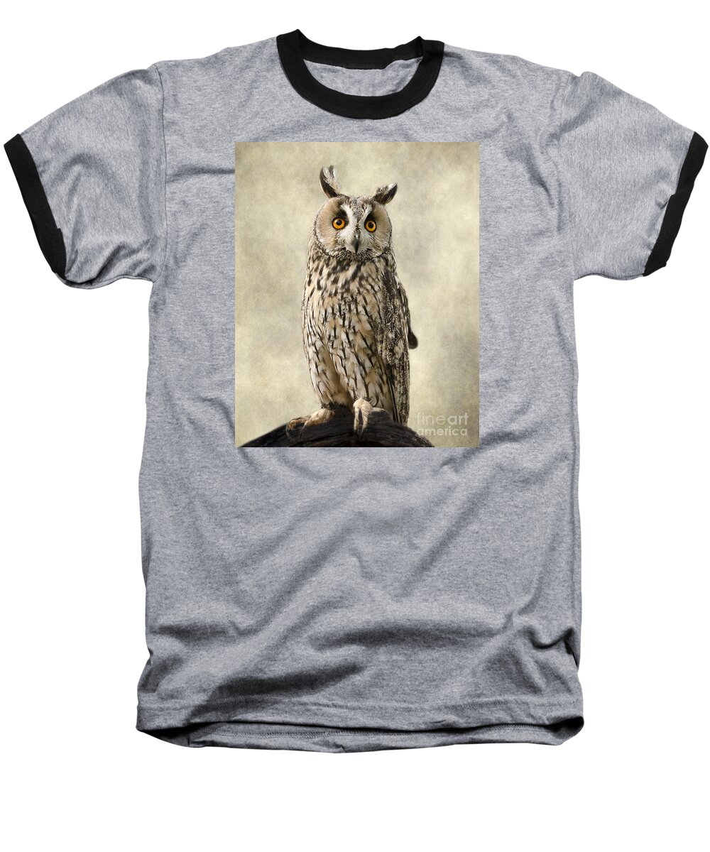 Portrait Baseball T-Shirt featuring the photograph Long Eared Owl by Linsey Williams