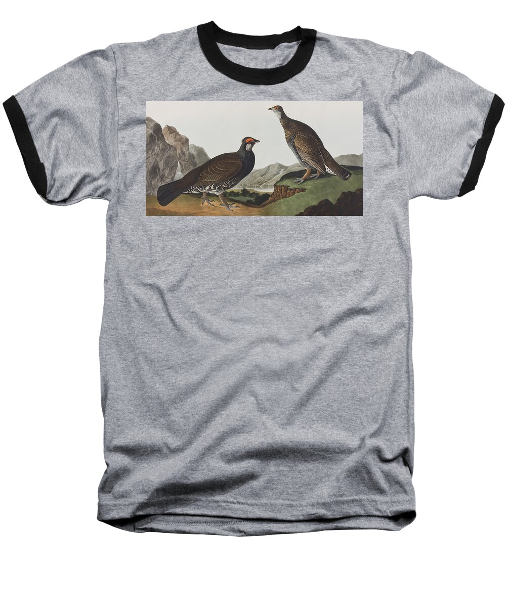 Long Tailed Grouse Baseball T-Shirt featuring the painting Long-tailed or Dusky Grous by John James Audubon