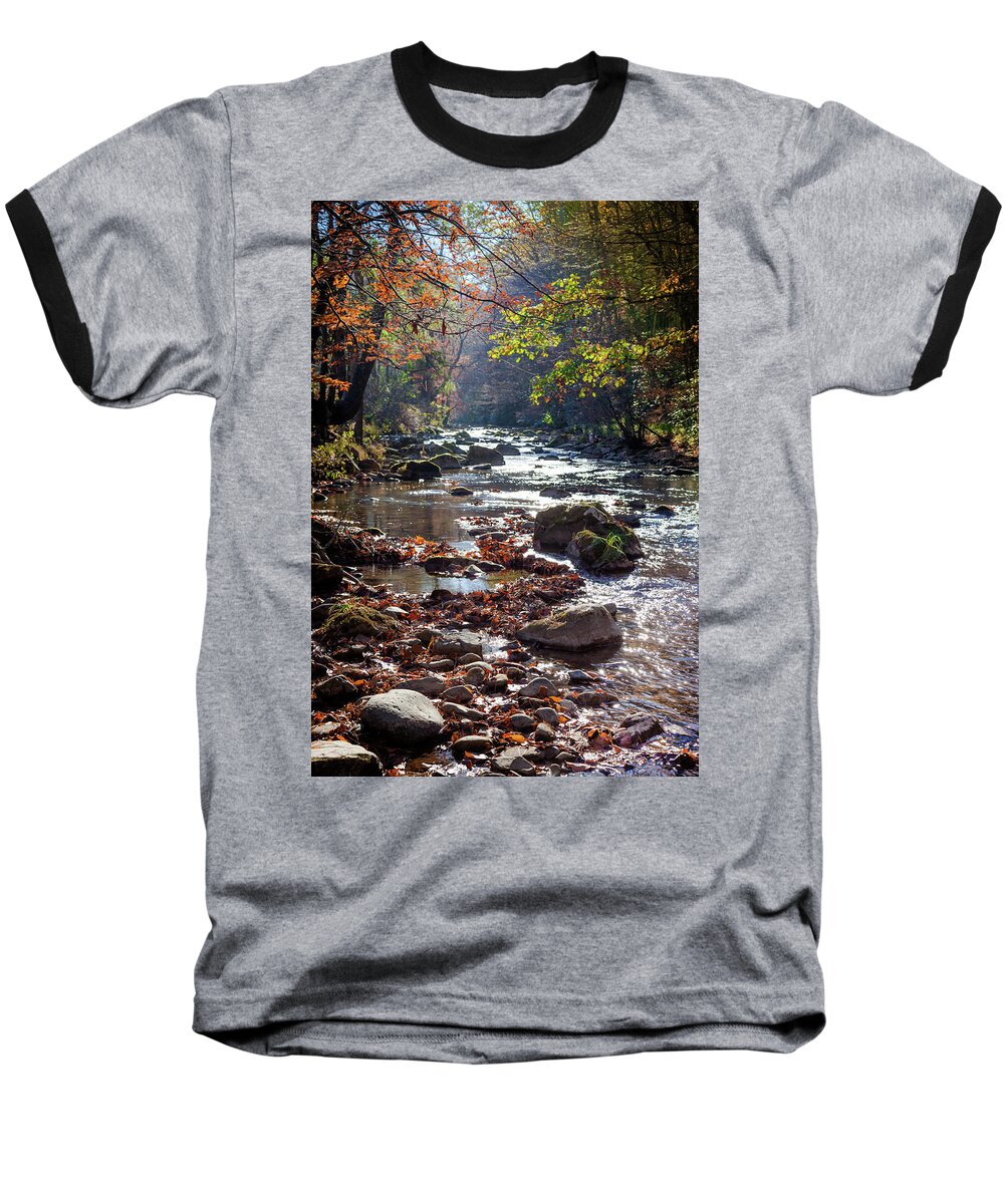 Mountain Streams Baseball T-Shirt featuring the photograph Longing For Home by Karen Wiles