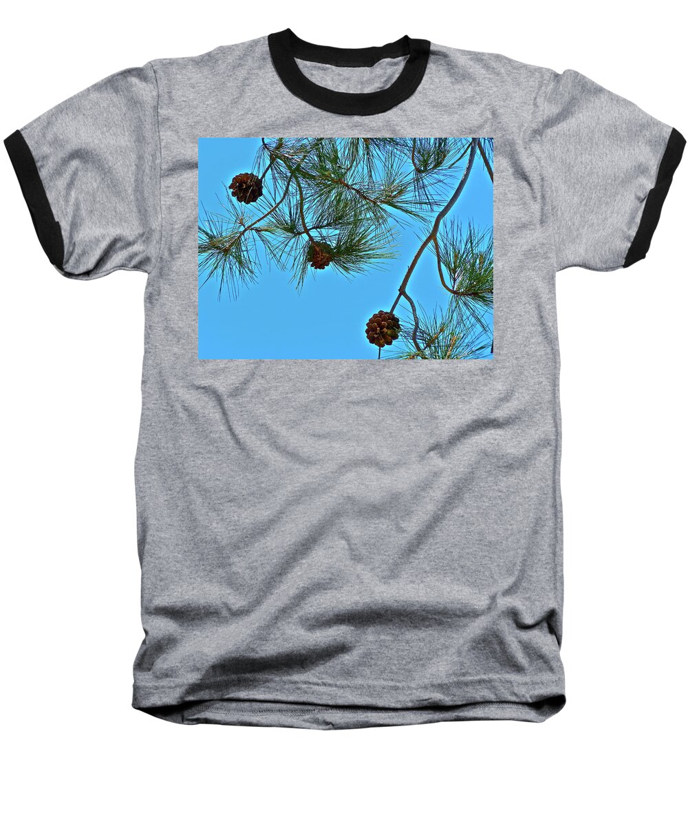 Trees Baseball T-Shirt featuring the photograph Look Up by Diana Hatcher