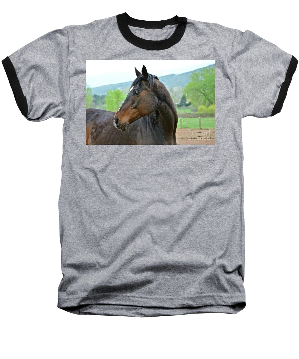 Horse Baseball T-Shirt featuring the photograph Looking Back by Cindy Schneider