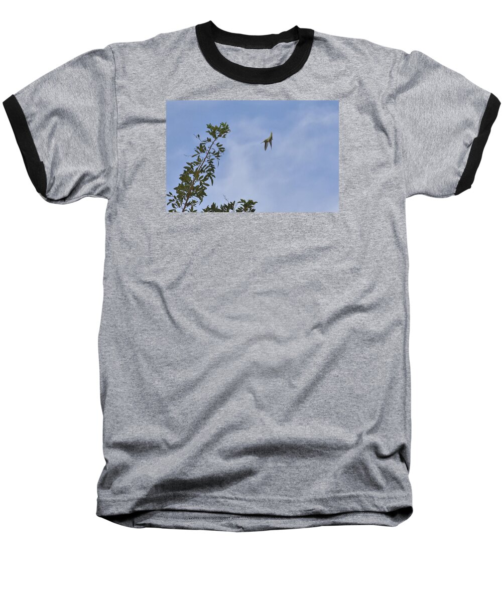 Linda Brody Baseball T-Shirt featuring the photograph Looking for a Landing Spot II by Linda Brody