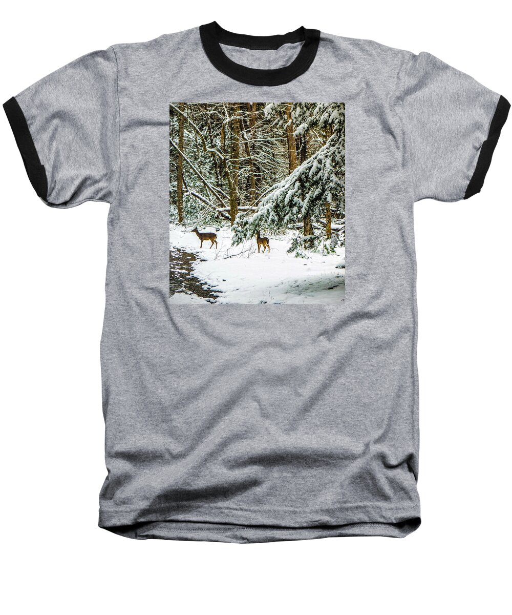 Snow Baseball T-Shirt featuring the photograph Looking for Christmas by Ches Black