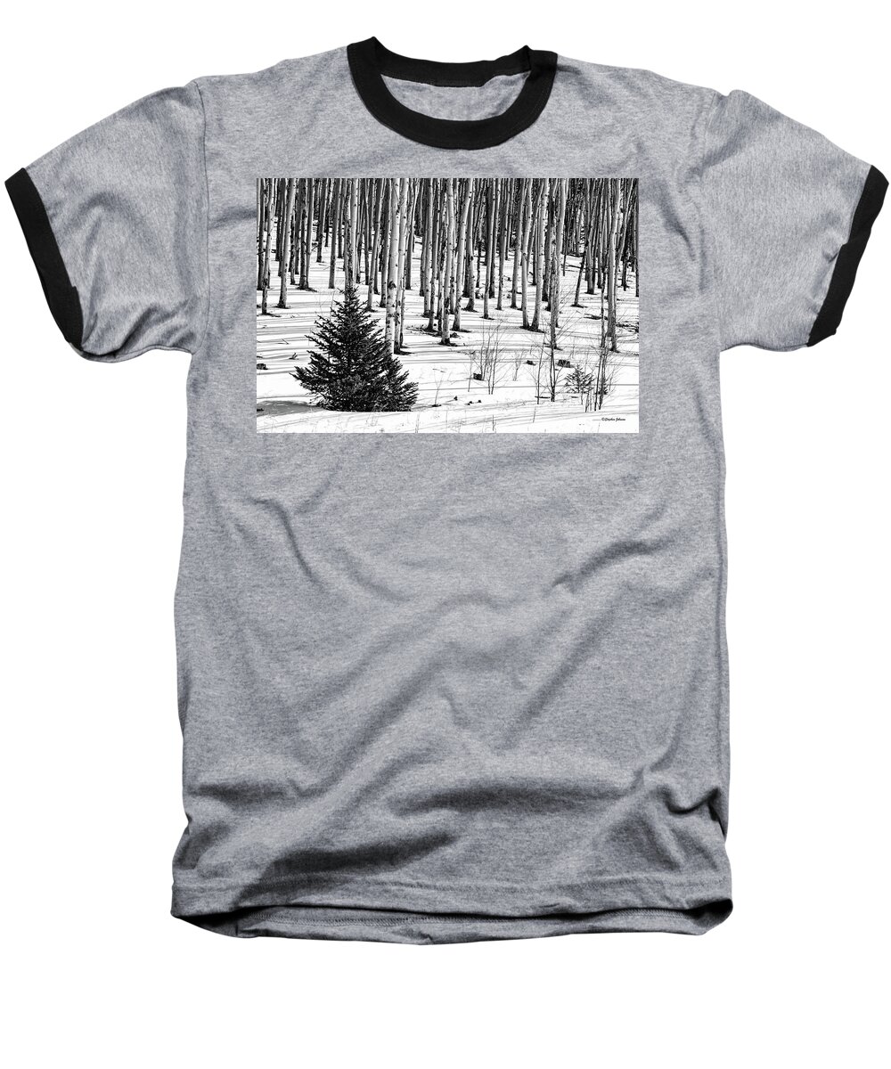 Aspen Baseball T-Shirt featuring the photograph Looking Through The Aspen Black and White by Stephen Johnson