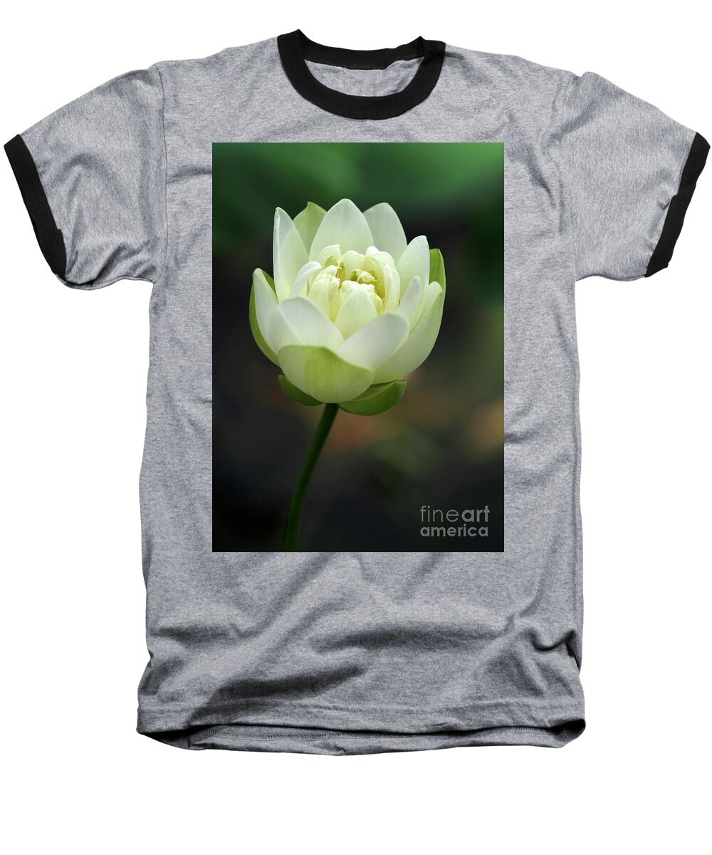 Lotus Baseball T-Shirt featuring the photograph Lotus Blooming by Sabrina L Ryan