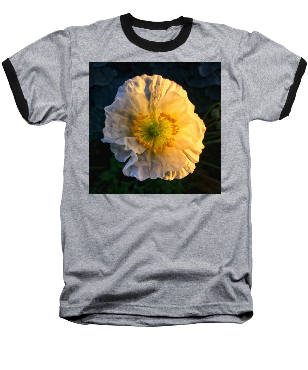 Macro Baseball T-Shirt featuring the photograph Love in the Morning by Nathan Little