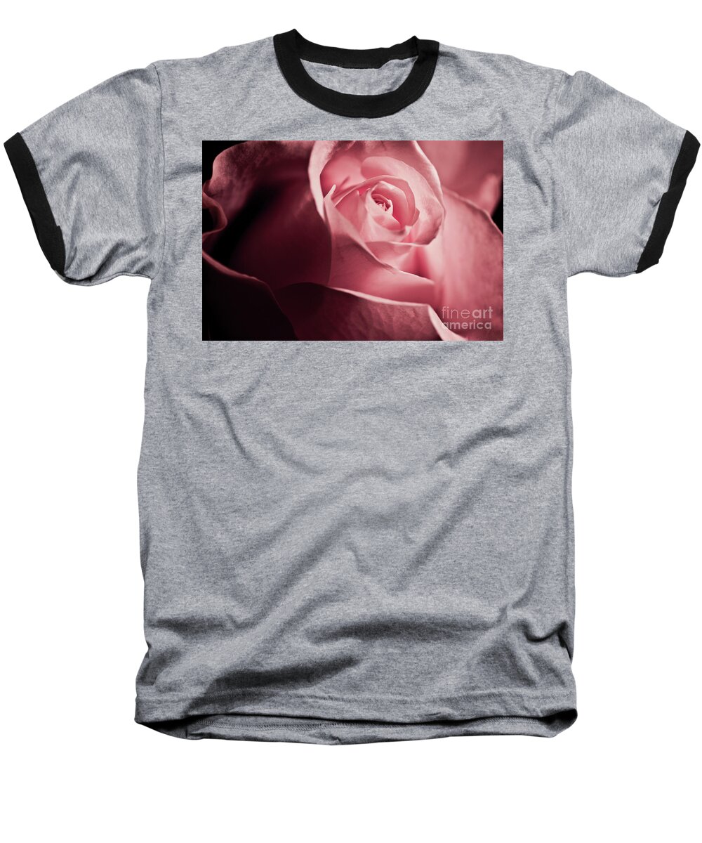 White Rose Baseball T-Shirt featuring the photograph Lovely pink rose by Micah May