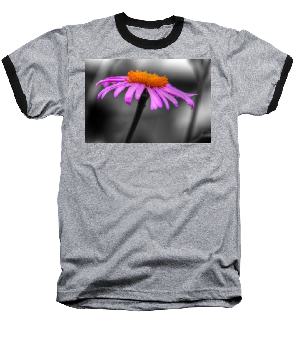 Coneflower Baseball T-Shirt featuring the photograph Lovely Purple and Orange Coneflower Echinacea by Shelley Neff