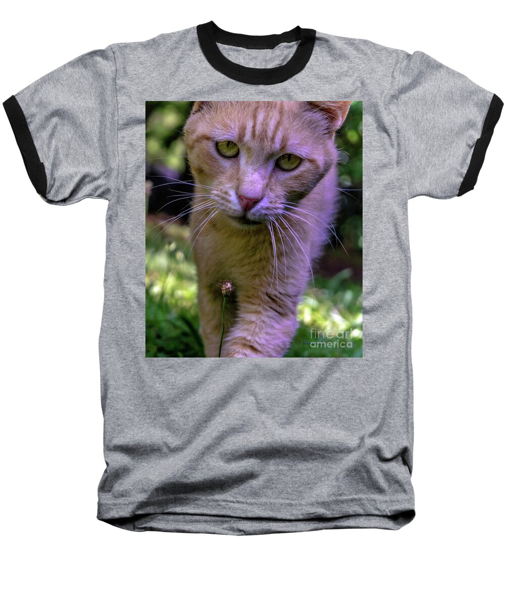 0369a Baseball T-Shirt featuring the photograph Lovey Feral Cat Portrait 0369a by Ricardos Creations