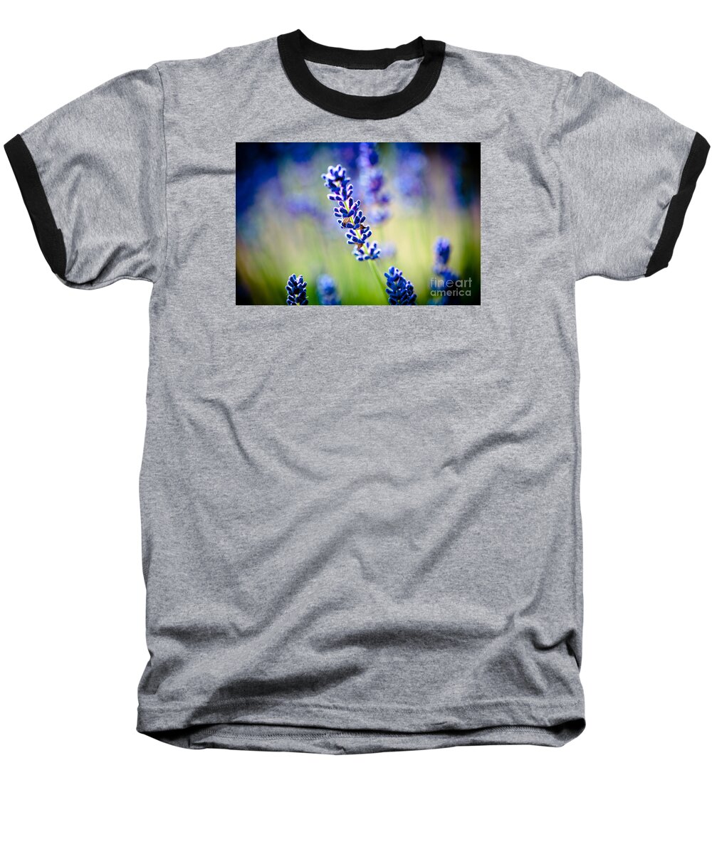 Flowers Baseball T-Shirt featuring the photograph Macro Lavander flowers in lavender field Artmif by Raimond Klavins