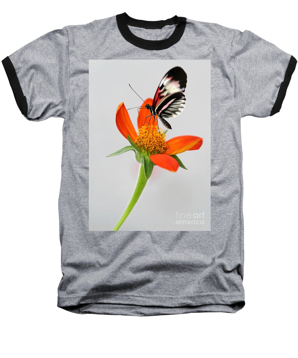 Piano Key Baseball T-Shirt featuring the photograph Magical Butterfly by Sabrina L Ryan