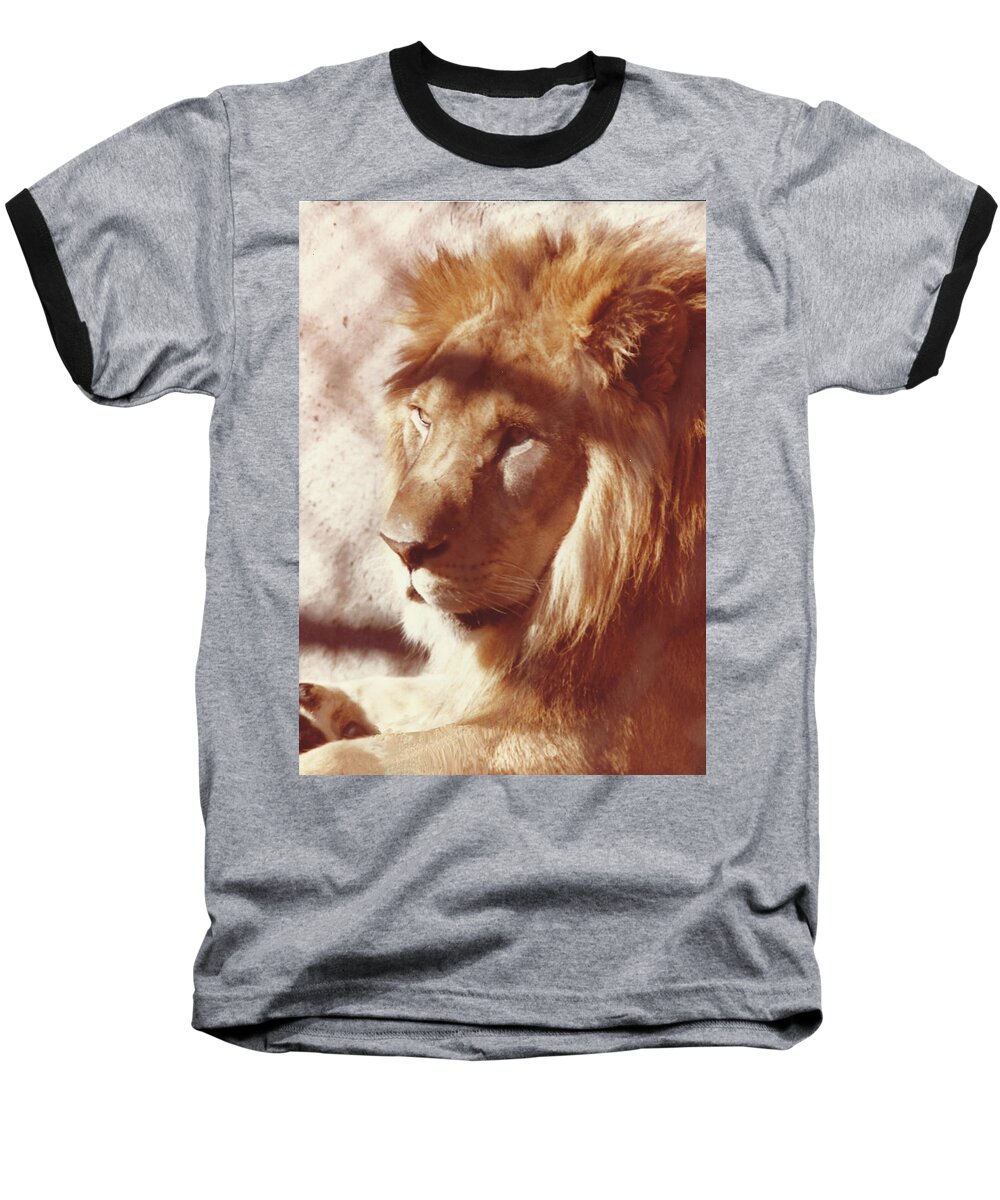 Margaret Harmon Photograph Baseball T-Shirt featuring the painting Majestic Lion by Margaret Harmon