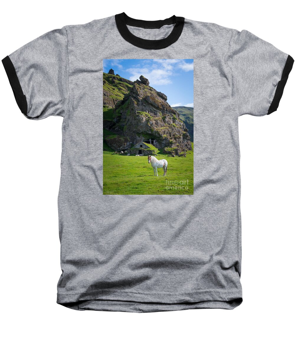 Icelandic Horse Baseball T-Shirt featuring the photograph Majestic White Horse by Michael Ver Sprill