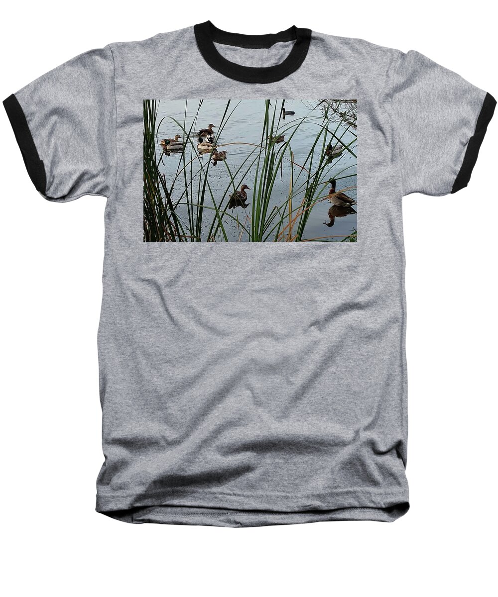 Mighty Sight Studio Baseball T-Shirt featuring the photograph Mallard Migration by Steve Sperry