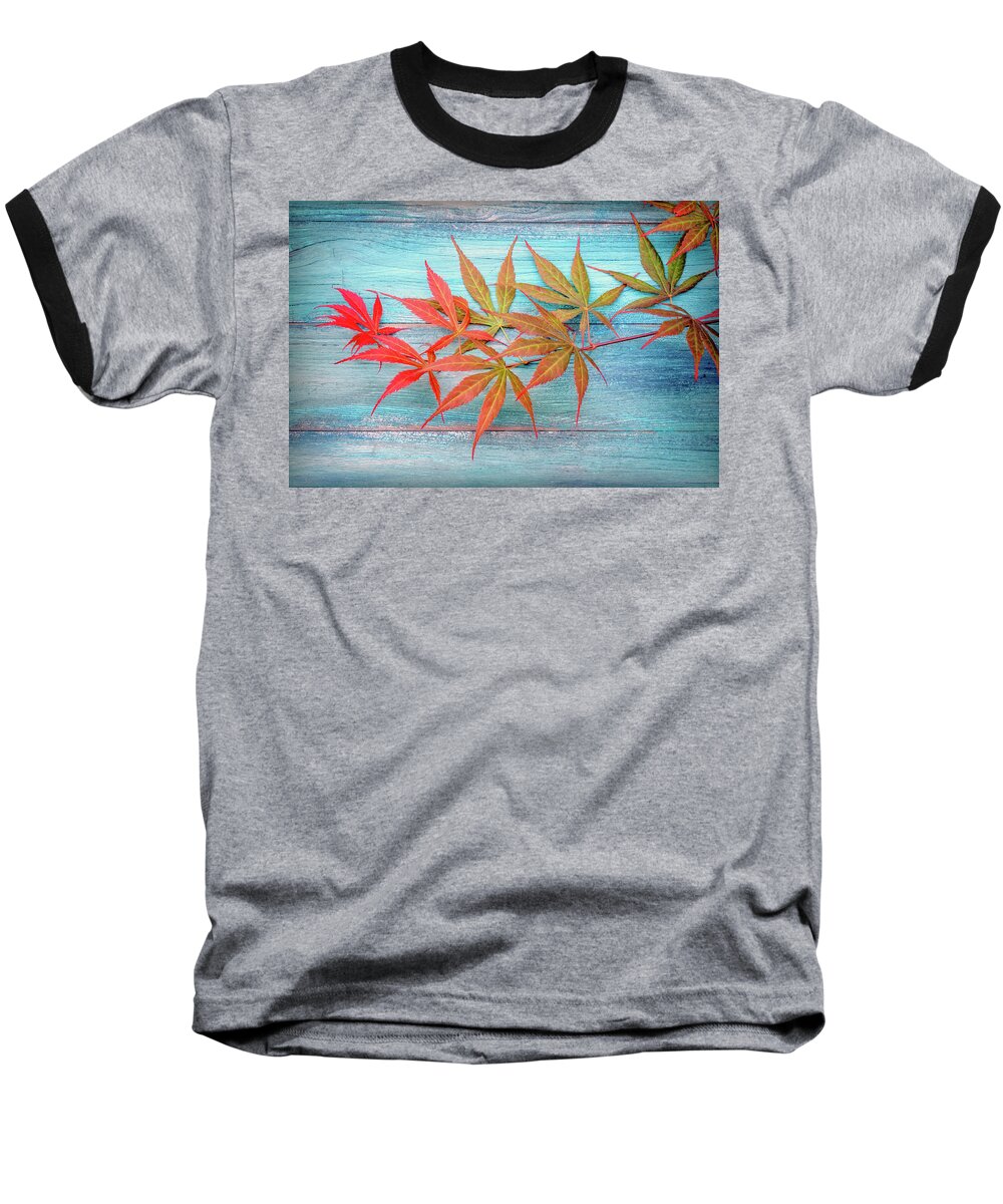 Leaves Baseball T-Shirt featuring the photograph Maple Colors by Philippe Sainte-Laudy