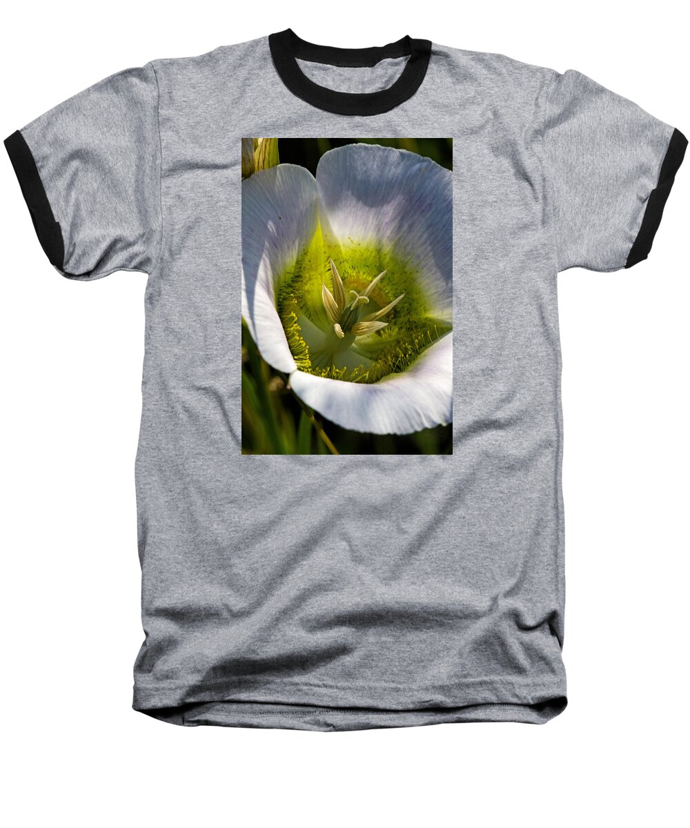 Botanical Baseball T-Shirt featuring the photograph Mariposa Lily by Alana Thrower