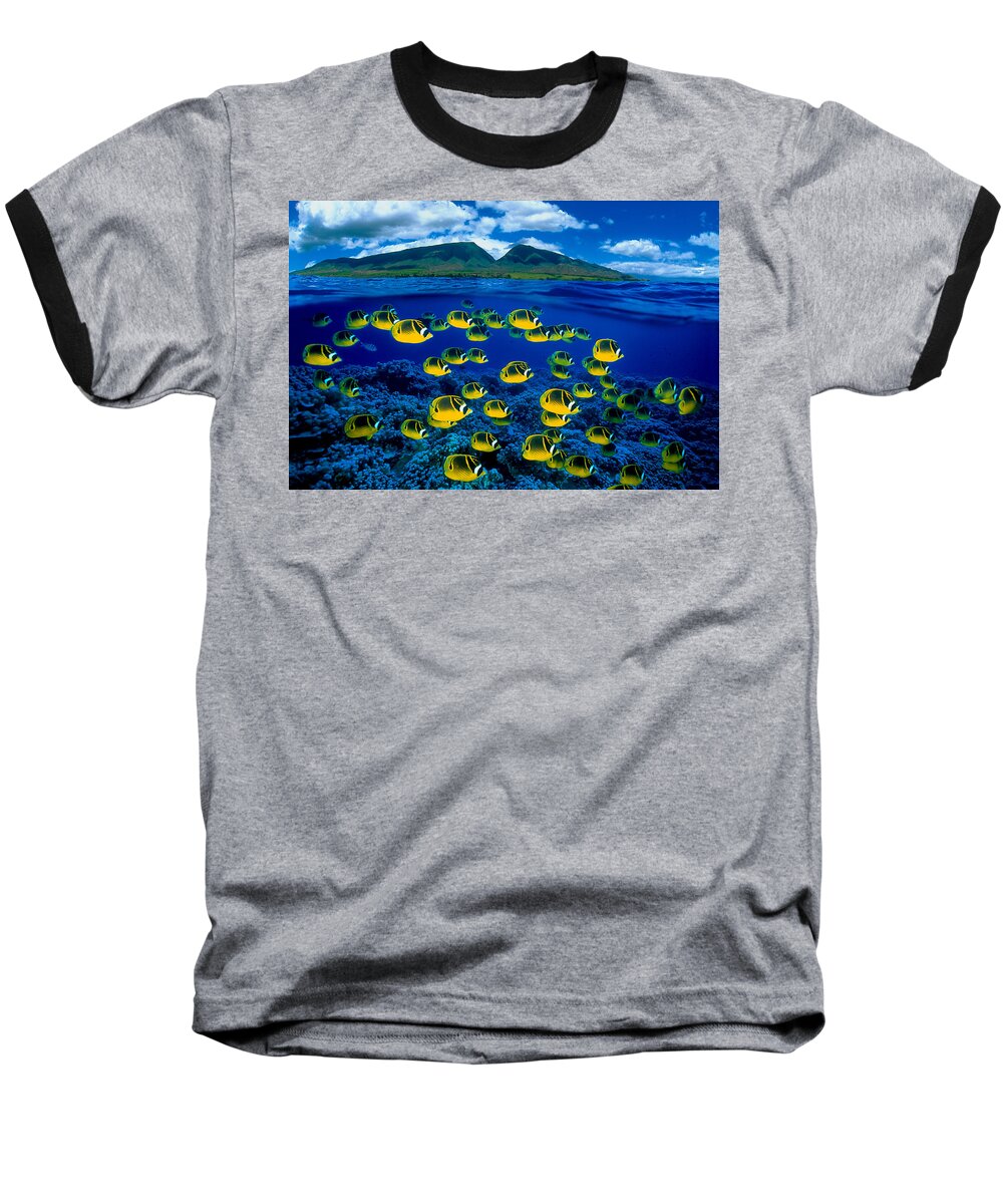 B1929 Baseball T-Shirt featuring the photograph Maui Butterflyfish by Dave Fleetham - Printscapes