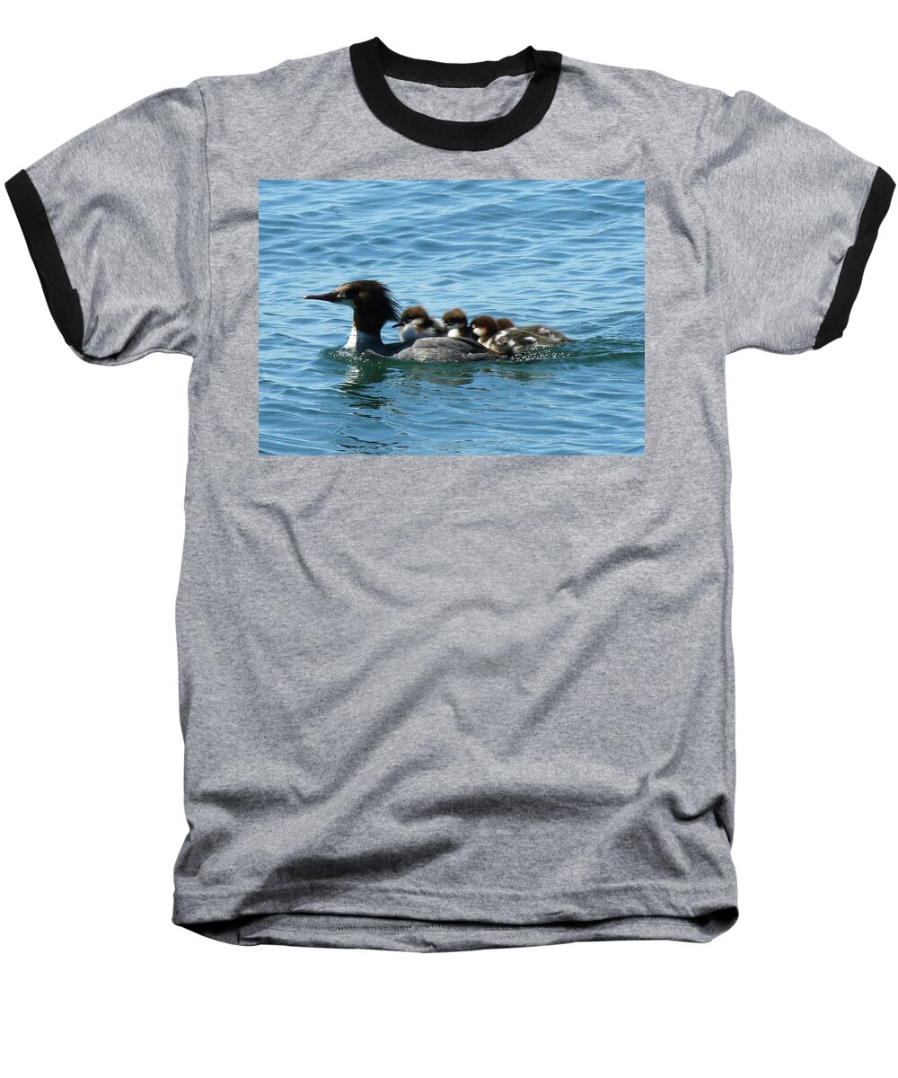 Thousand Island Baseball T-Shirt featuring the photograph Merganser and her chicks by Dennis McCarthy
