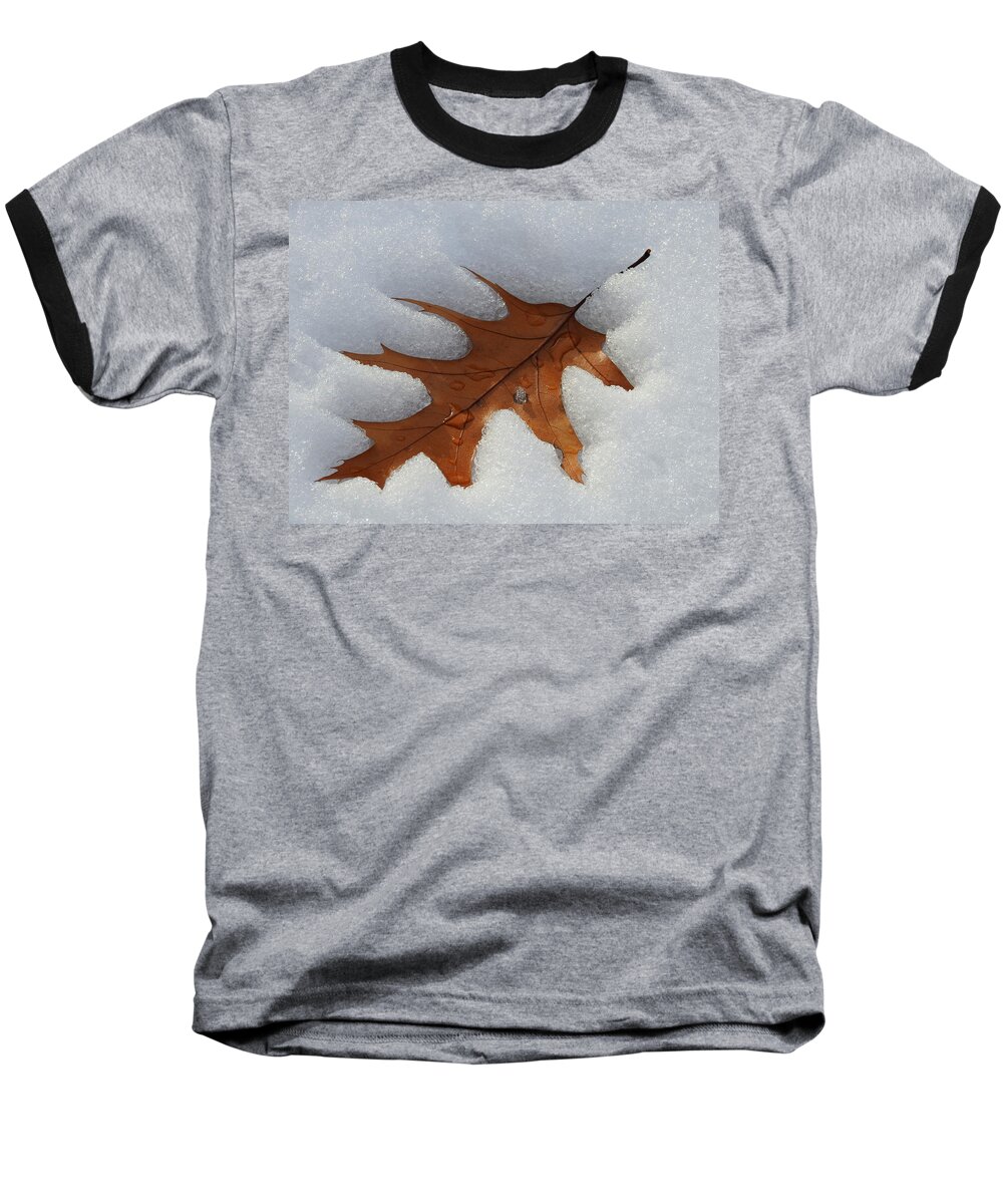 Leaf Baseball T-Shirt featuring the photograph Mighty Oak by Betty-Anne McDonald