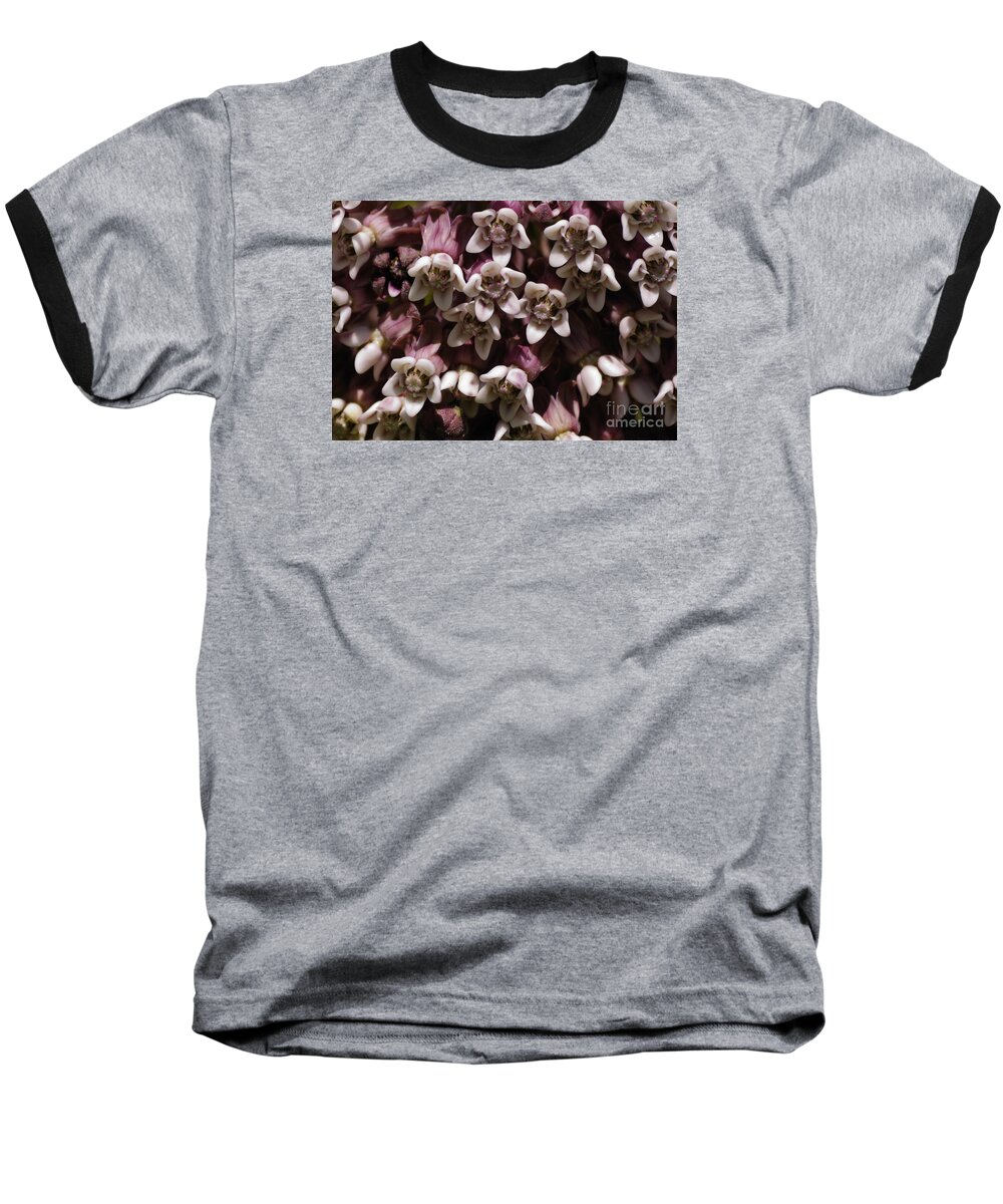 Milkweed Baseball T-Shirt featuring the photograph Milkweed Florets by Randy Bodkins