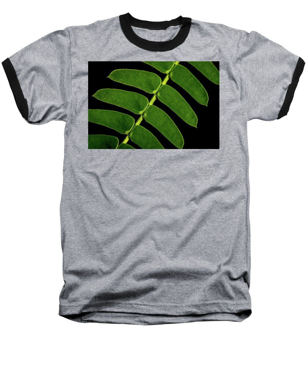 Jay Stockhaus Baseball T-Shirt featuring the photograph Mimosa by Jay Stockhaus