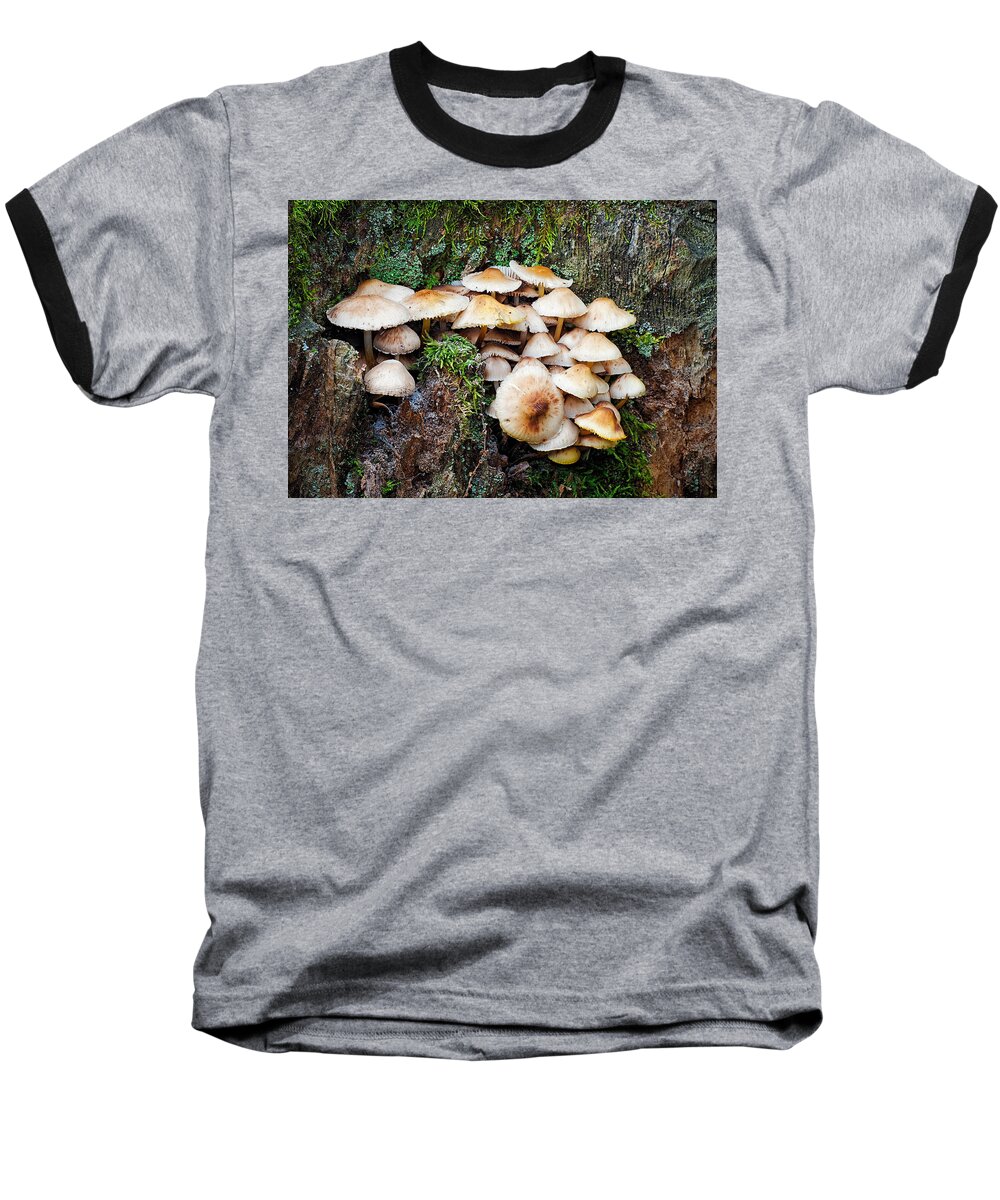 Mushroom Baseball T-Shirt featuring the photograph Mini Mushroom Landscape by Jim Zablotny