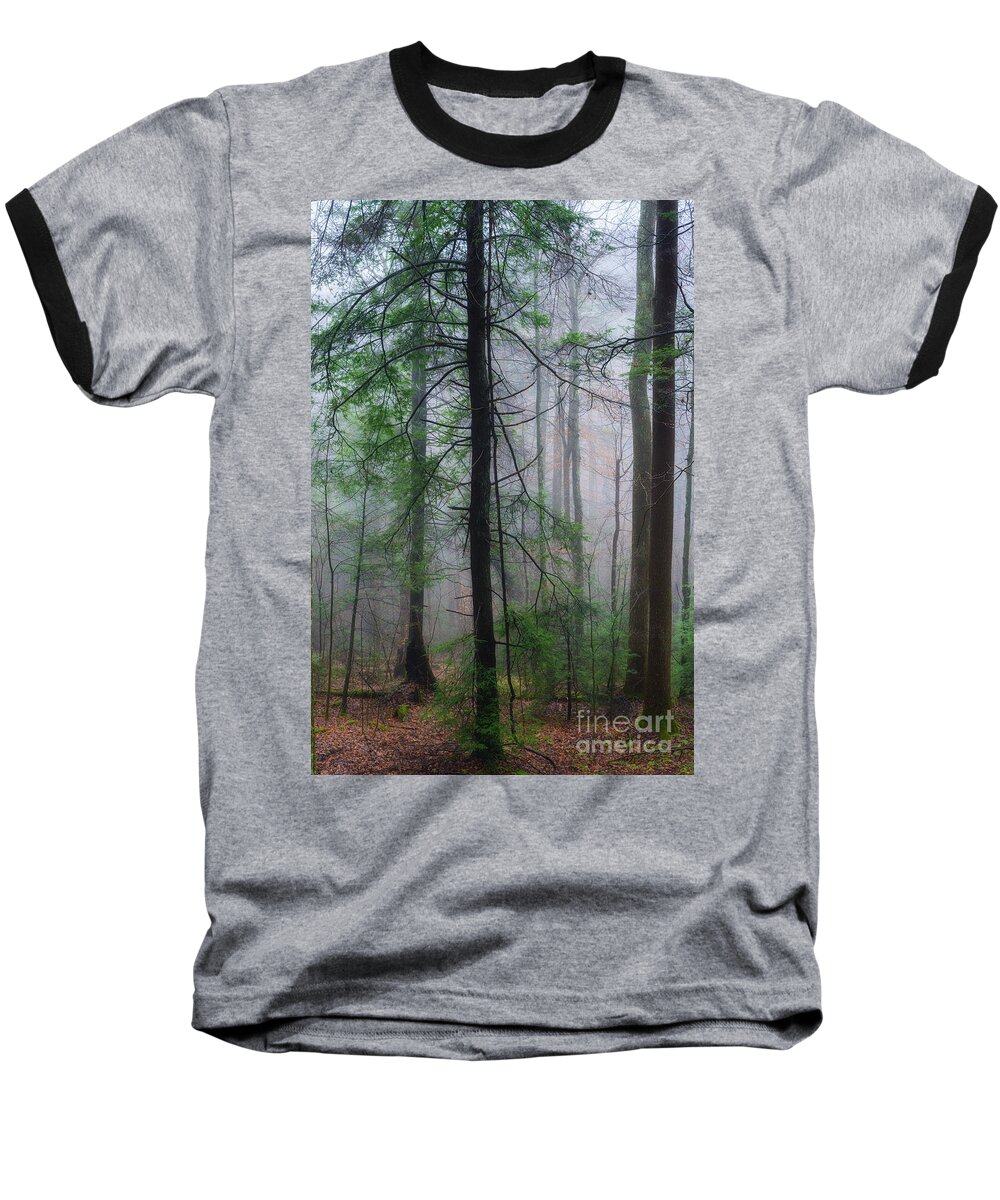 Fog Baseball T-Shirt featuring the photograph Misty Winter Forest by Thomas R Fletcher
