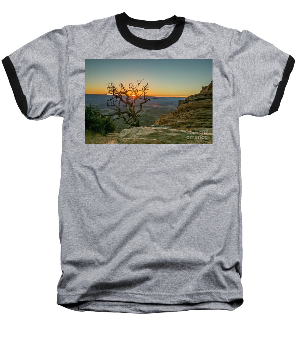 Tree Baseball T-Shirt featuring the photograph Moab Tree by Kristal Kraft