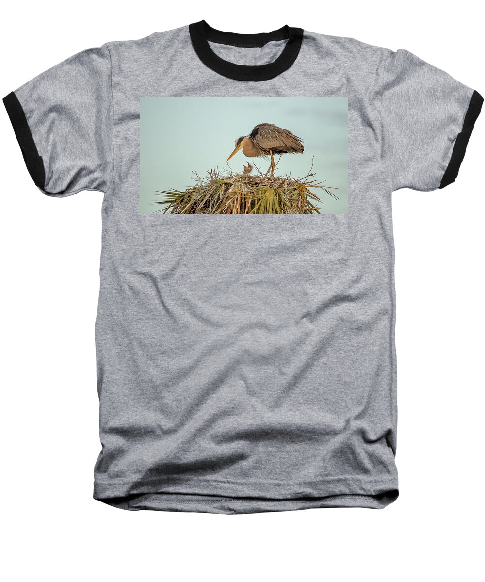 Blue Heron Baseball T-Shirt featuring the photograph Mom and Chick by Dorothy Cunningham