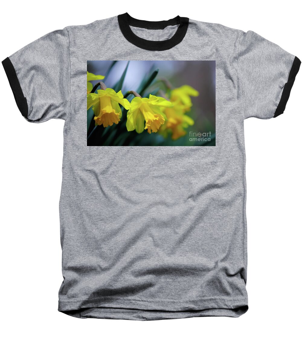 Daffodil Baseball T-Shirt featuring the photograph Mom's Daffs by Lois Bryan