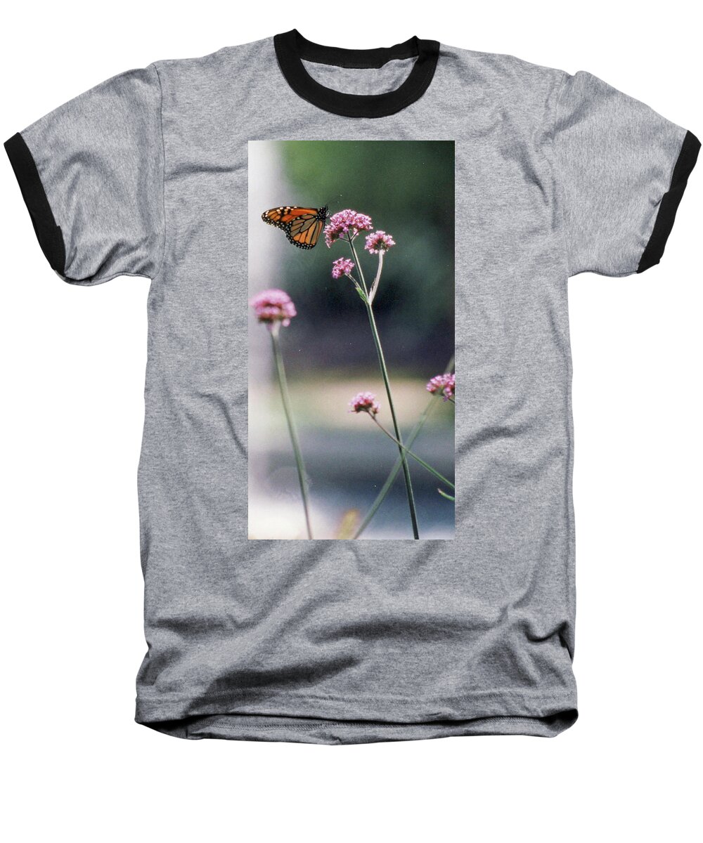 Monarch Baseball T-Shirt featuring the photograph Monarch No. 7-1 by Sandy Taylor