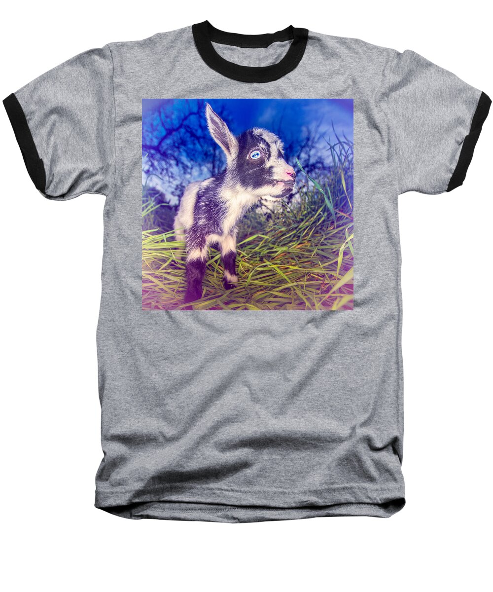 Adorable Baseball T-Shirt featuring the photograph Moo Cow Love Grass by TC Morgan