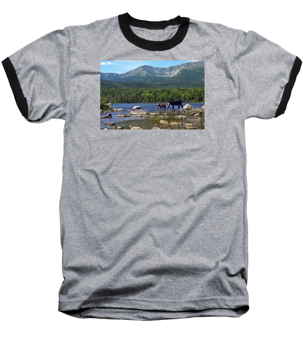 Maine Baseball T-Shirt featuring the photograph Moose Baxter State Park Maine 2 by Glenn Gordon