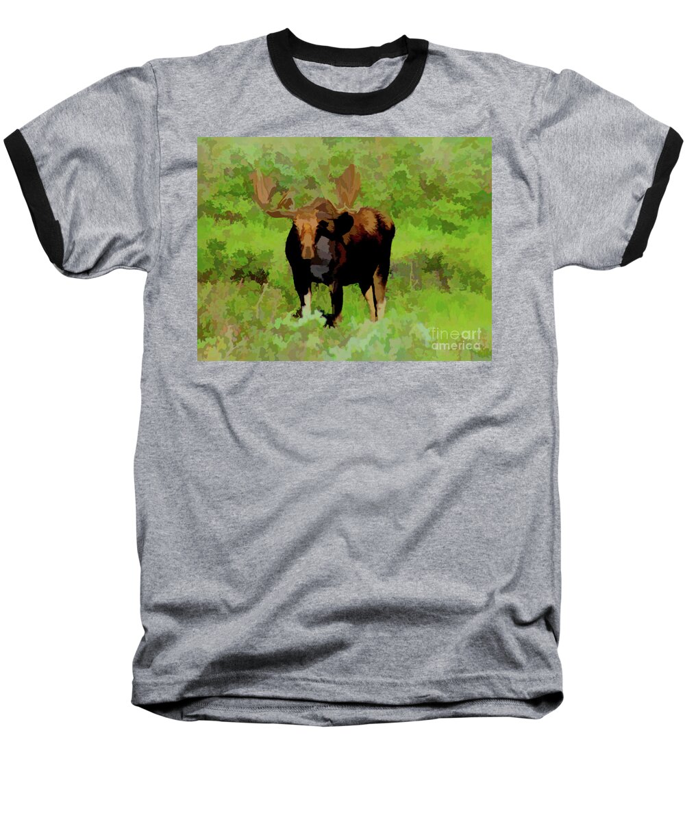  Animal Baseball T-Shirt featuring the photograph Moose In The Green by Steven Parker