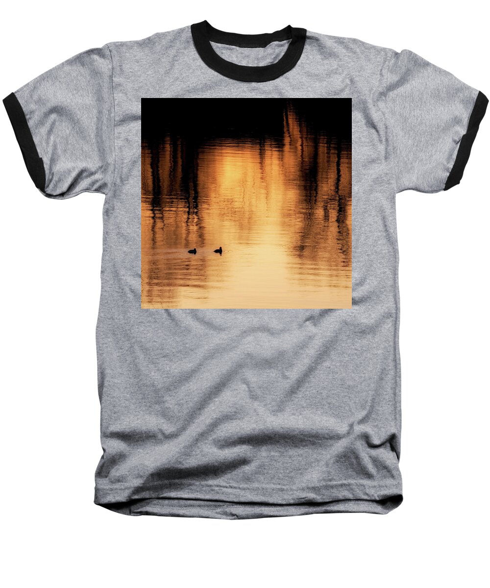 Square Baseball T-Shirt featuring the photograph Morning Ducks 2017 Square by Bill Wakeley