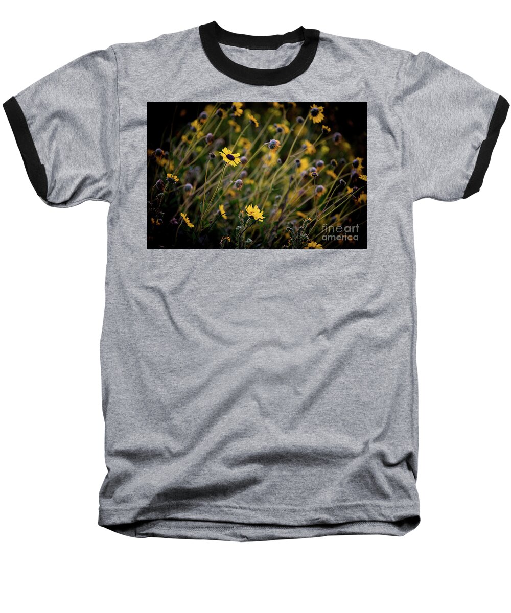 Spring Baseball T-Shirt featuring the photograph Morning Flowers by Kelly Wade