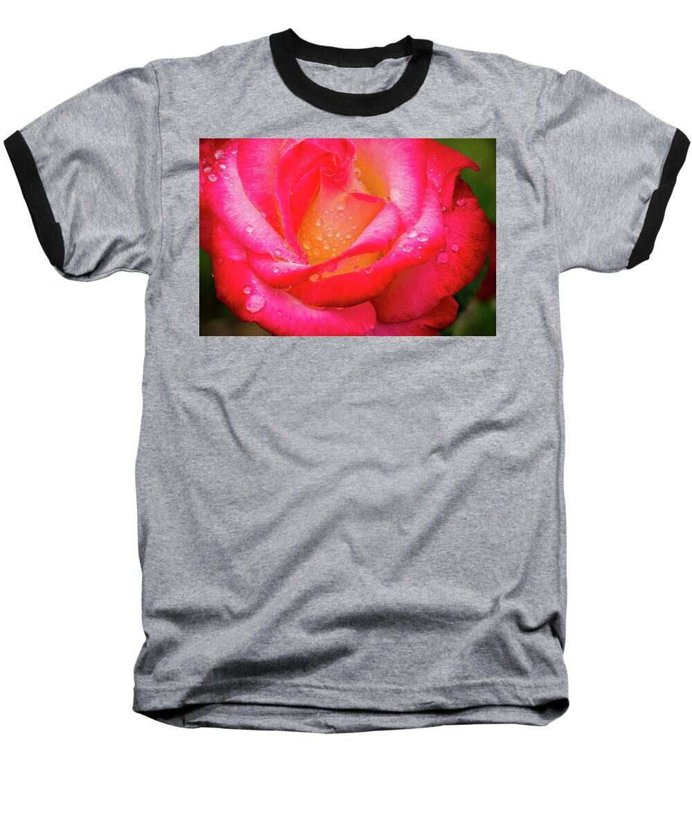 Rose Baseball T-Shirt featuring the photograph Morning Rose for You by Ken Stanback
