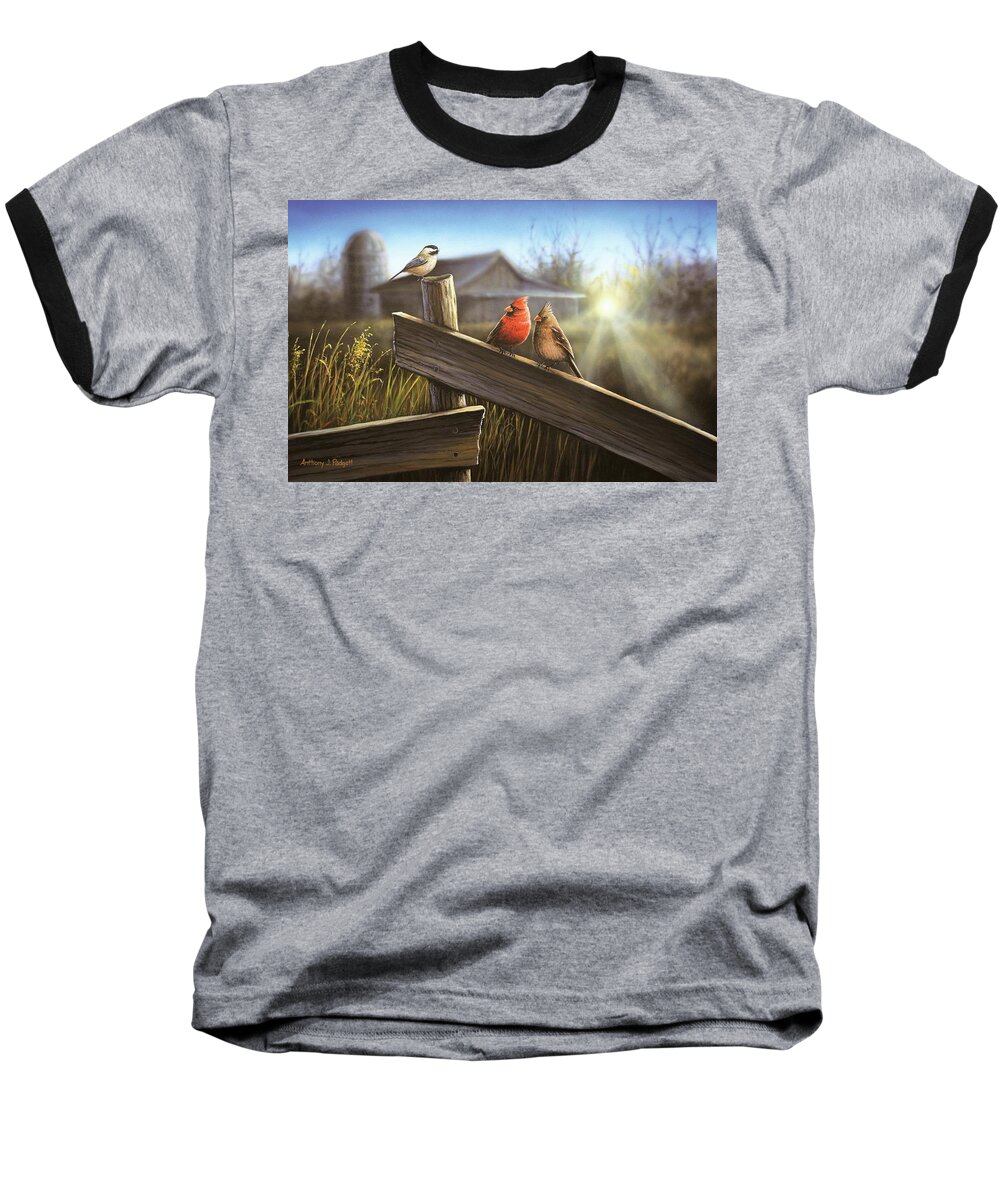 Fence Baseball T-Shirt featuring the painting Morning Song by Anthony J Padgett