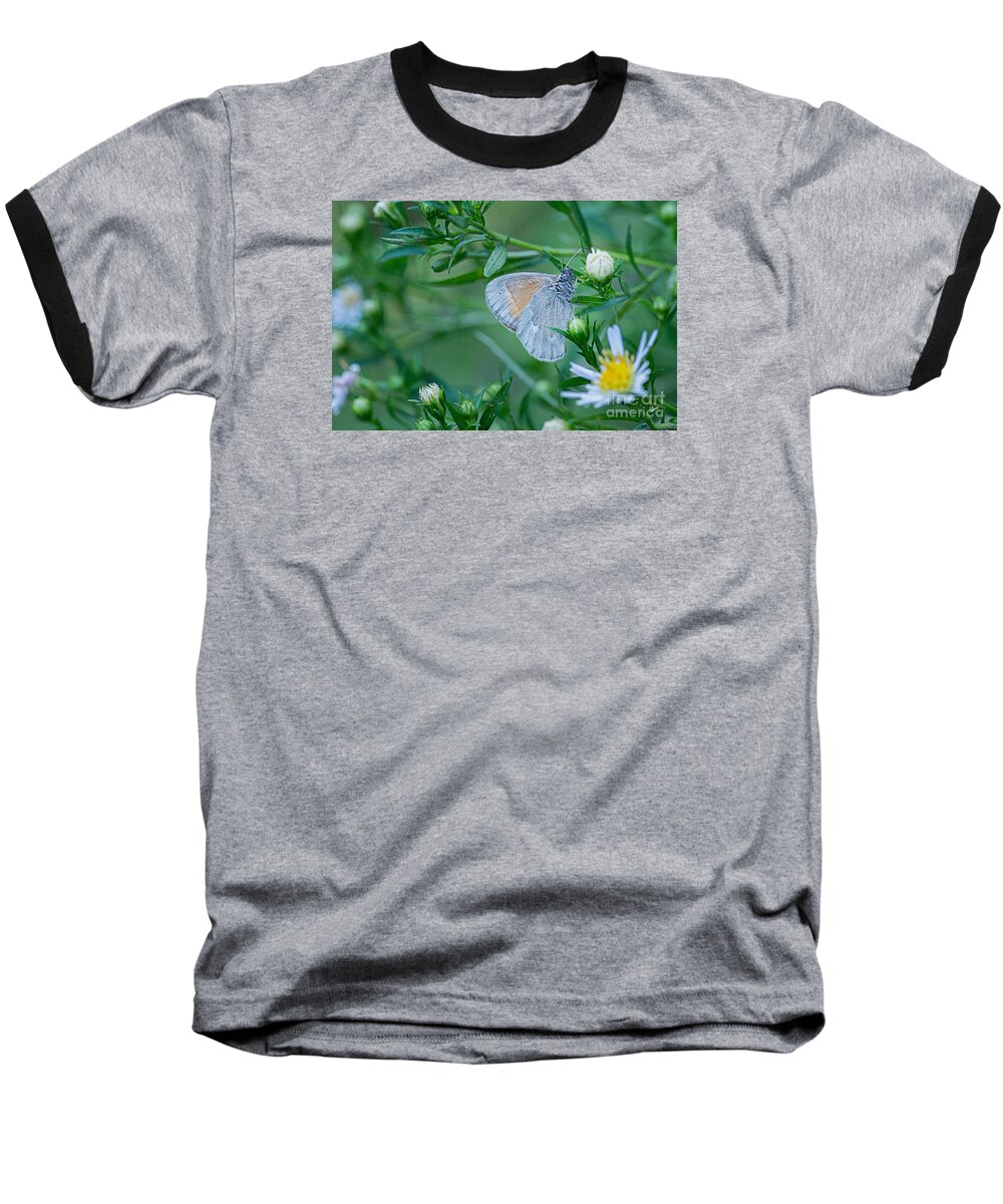 Maine Nature Photographers Baseball T-Shirt featuring the photograph Moth by Alana Ranney