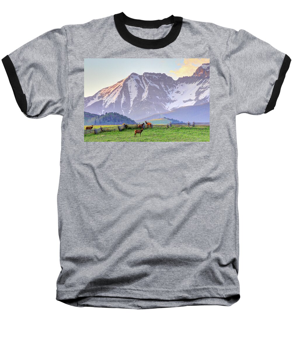 Elk Baseball T-Shirt featuring the photograph Mountain Elk by Scott Mahon