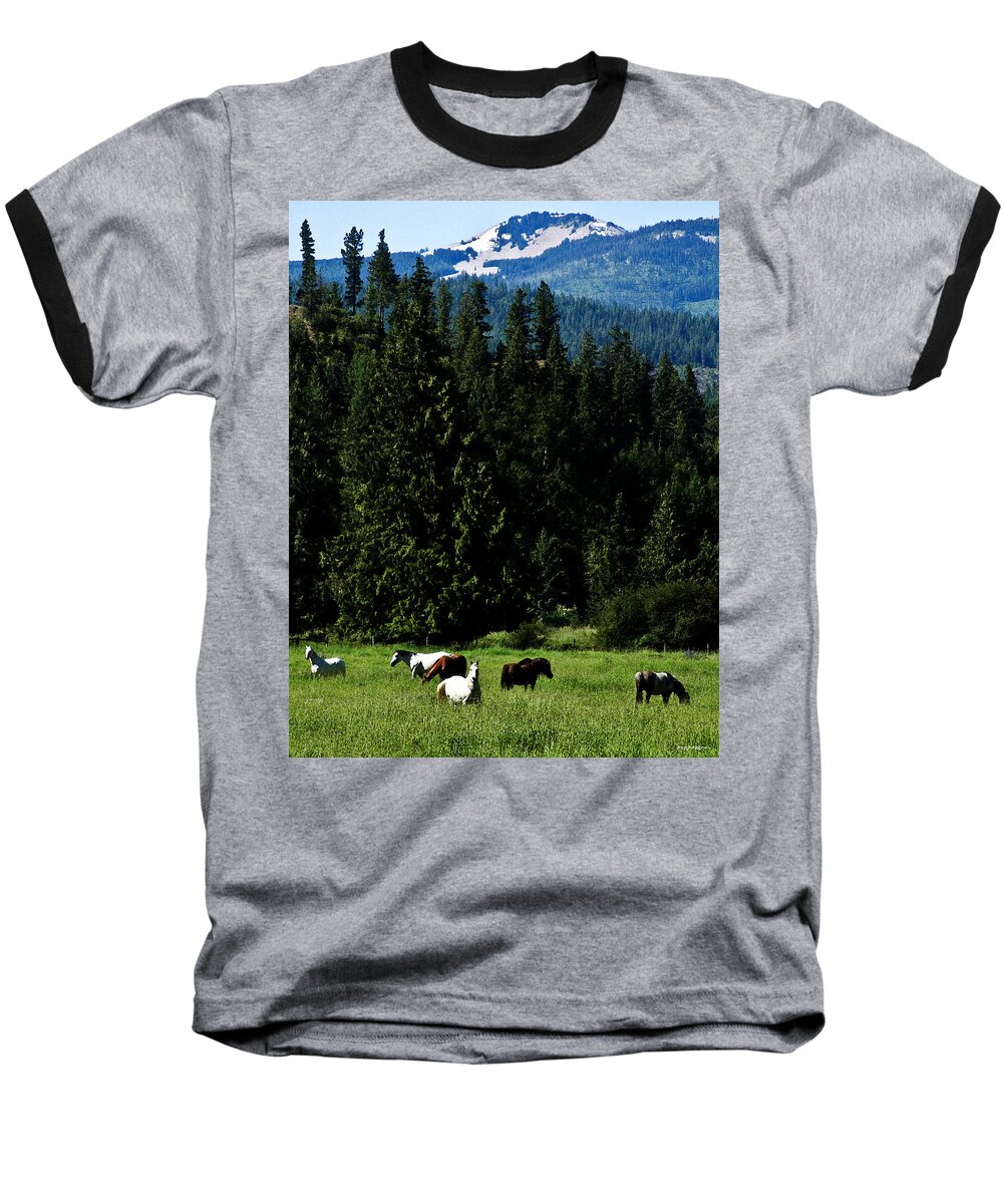 Horses Baseball T-Shirt featuring the photograph Mountain Herd by Joseph Noonan
